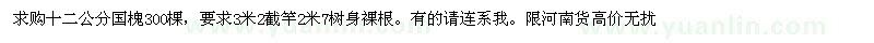 求購國槐