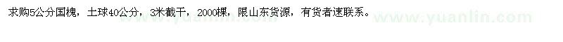 求購5公分國槐 