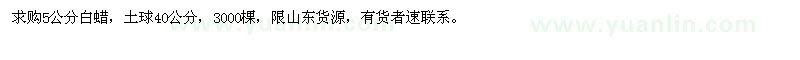 求購5公分白蠟