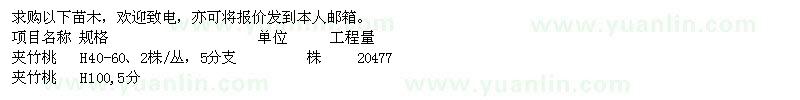 求購夾竹桃