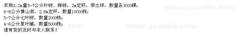 求購(gòu)樸樹(shù)、櫸樹(shù)、黃山欒、七葉樹(shù)、復(fù)葉槭