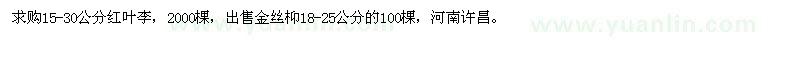 求購(gòu)15-30公分紅葉李