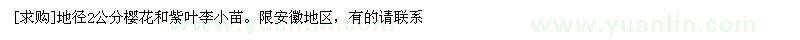 求購地徑2公分櫻花和紫葉李小苗