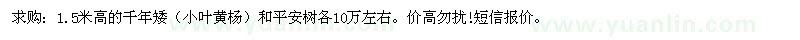 求購1.5米高的千年矮（小葉黃楊）和平安樹