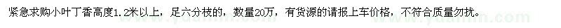 求購小葉丁香高度1.2米以上 