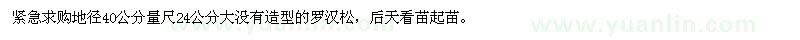 求購造型的羅漢松 后天看苗起苗 