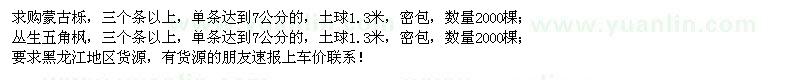 求購蒙古櫟、叢生五角楓