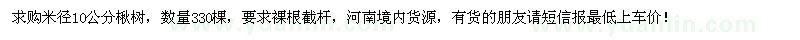 求購米徑10公分楸樹330棵