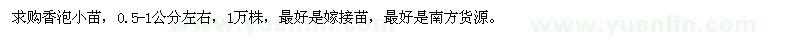 求購香泡小苗1萬株