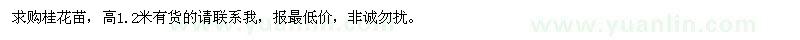 求購桂花苗 