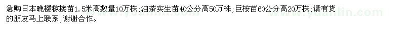 求購(gòu)日本晚櫻稼接苗;油茶實(shí)生苗;巨桉苗