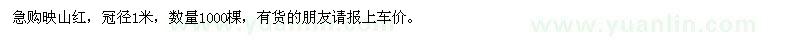 求購冠徑1米映山紅