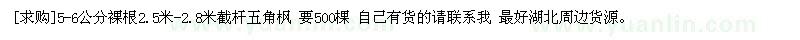 求購5-6公分裸根2.5米-2.8米截桿五角楓