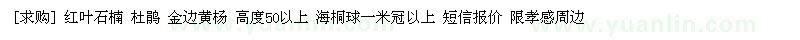 求購紅葉石楠 杜鵑 金邊黃楊