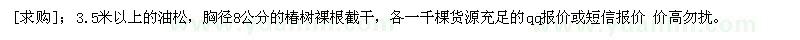 求購(gòu)油松 椿樹 各一千棵