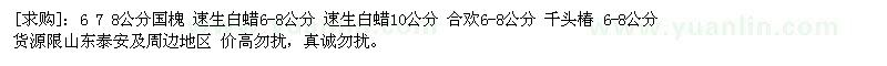 求購國槐 速生白蠟 合歡 千頭椿