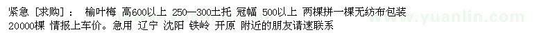 求購(gòu)榆葉梅 高600以上 250--300土托