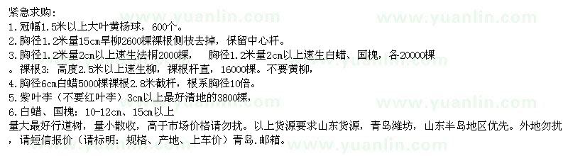 求購大葉黃楊球、旱柳、速生柳、白蠟、紫葉李、國槐
