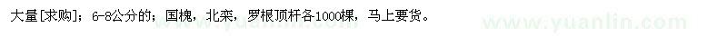 求購6-8公分的；國槐，北欒