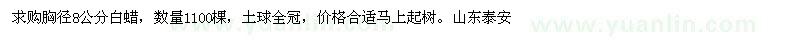 求購胸徑8公分白蠟 