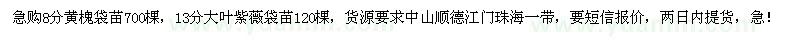 求購(gòu)黃槐,大葉紫薇