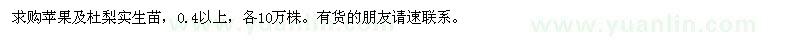 求購(gòu)蘋(píng)果及杜梨實(shí)生苗