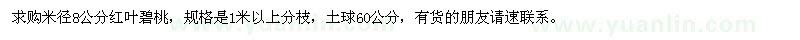 求購(gòu)米徑8公分紅葉碧桃