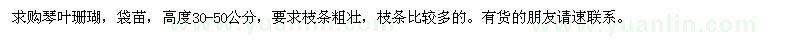 求購(gòu)高度30-50公分琴葉珊瑚