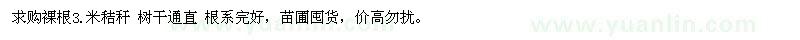 求購8-20M國槐 白蠟