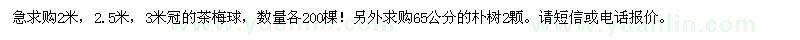 求購2米,2.5米,3米冠的茶梅球