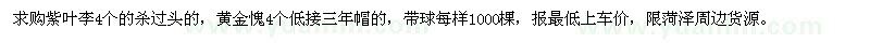 求購紫葉李4個的殺過頭的，黃金愧4個低接三年帽的 