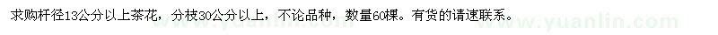 求購桿徑13公分以上茶花