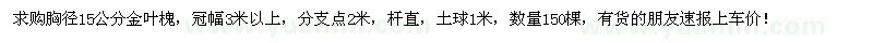 求購胸徑15公分金葉槐150棵