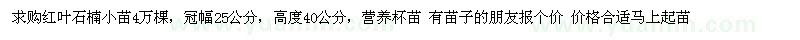 求購紅葉石楠4萬