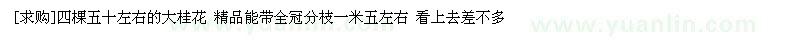 求購(gòu)四棵五十左右的大桂花
