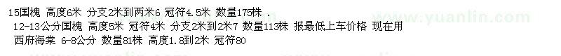 求購15國槐 12-13公分國槐 西府海棠 6-8公分