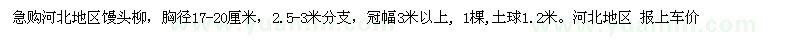 求購(gòu)急購(gòu)河北地區(qū)饅頭柳