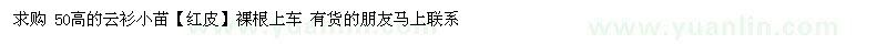 求購50高的云衫小苗