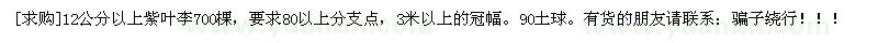 求購(gòu)12公分以上紫葉李700棵