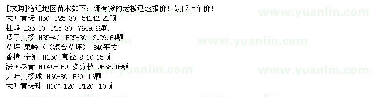 求購大葉黃楊 杜鵑 瓜子黃楊 果嶺草 香樟 法國冬青 大葉黃楊球