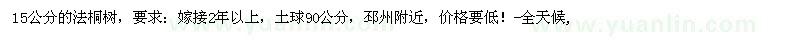 求購15公分的法桐樹