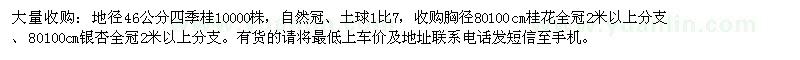求購大量收購：四季桂、桂花、銀杏