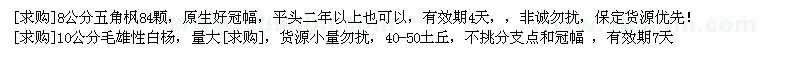 求購(gòu)8公分五角楓 10公分毛雄性白楊
