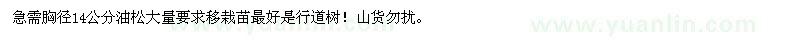 求購(gòu)胸徑14公分油松大量（山東省日照市）
