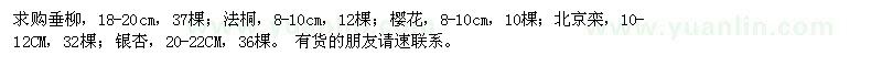 求購垂柳,法桐,櫻花,北京欒,銀杏