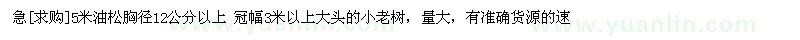 求購(gòu)5米油松胸徑12公分以上