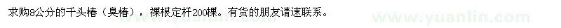求購8公分的千頭椿（臭椿）