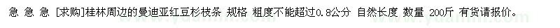 求購桂林周邊的曼迪亞紅豆杉枝條