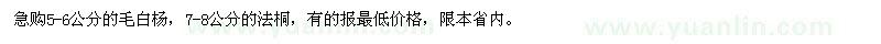 求購5-6公分的毛白楊,7-8公分的法桐