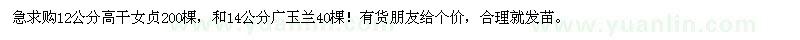 求購12公分高干女貞，14公分廣玉蘭 